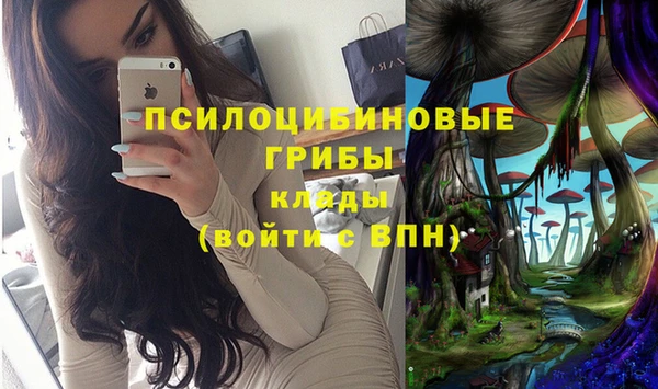 прущая мука Покров