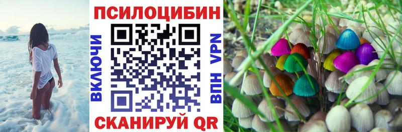 где купить наркотик  Железногорск  Псилоцибиновые грибы ЛСД 