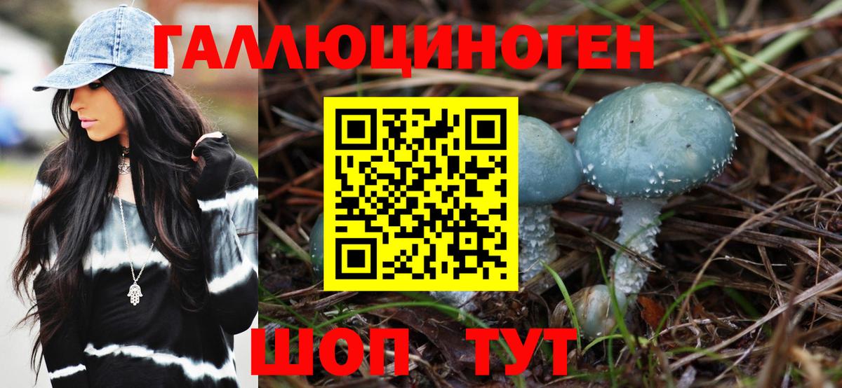 Галлюциногенные грибы Psilocybine cubensis Железногорск