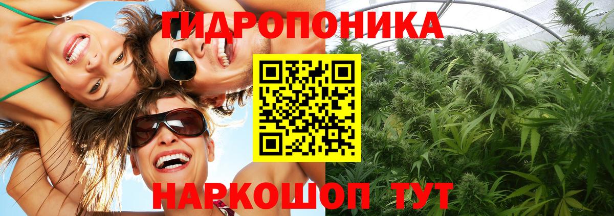 Бошки Шишки семена  МАРИХУАНА гибрид  Каннабис конопля  Вход с VPN  Железногорск  Каннабис тримм 